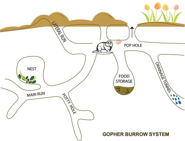 /basic-monorepo-design-in-go-e9ba1cb8e4e6 feature image