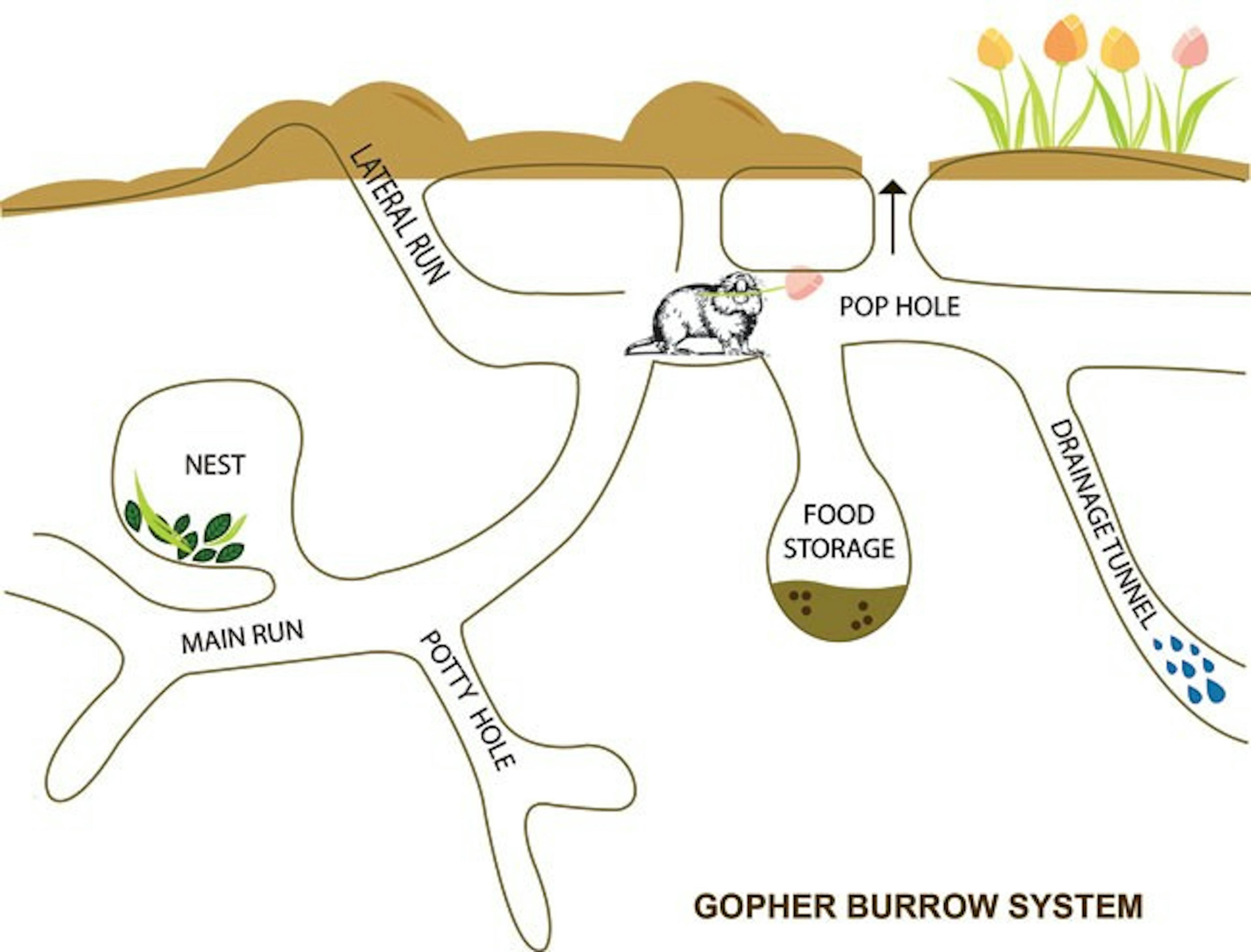 /basic-monorepo-design-in-go-e9ba1cb8e4e6 feature image