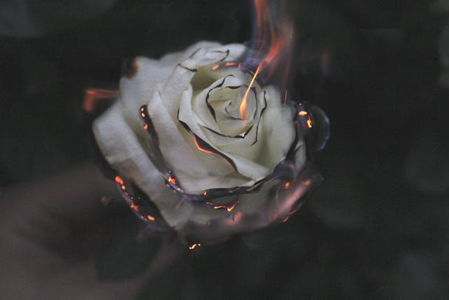 /11-ways-to-fight-burnout-4765cf007468 feature image