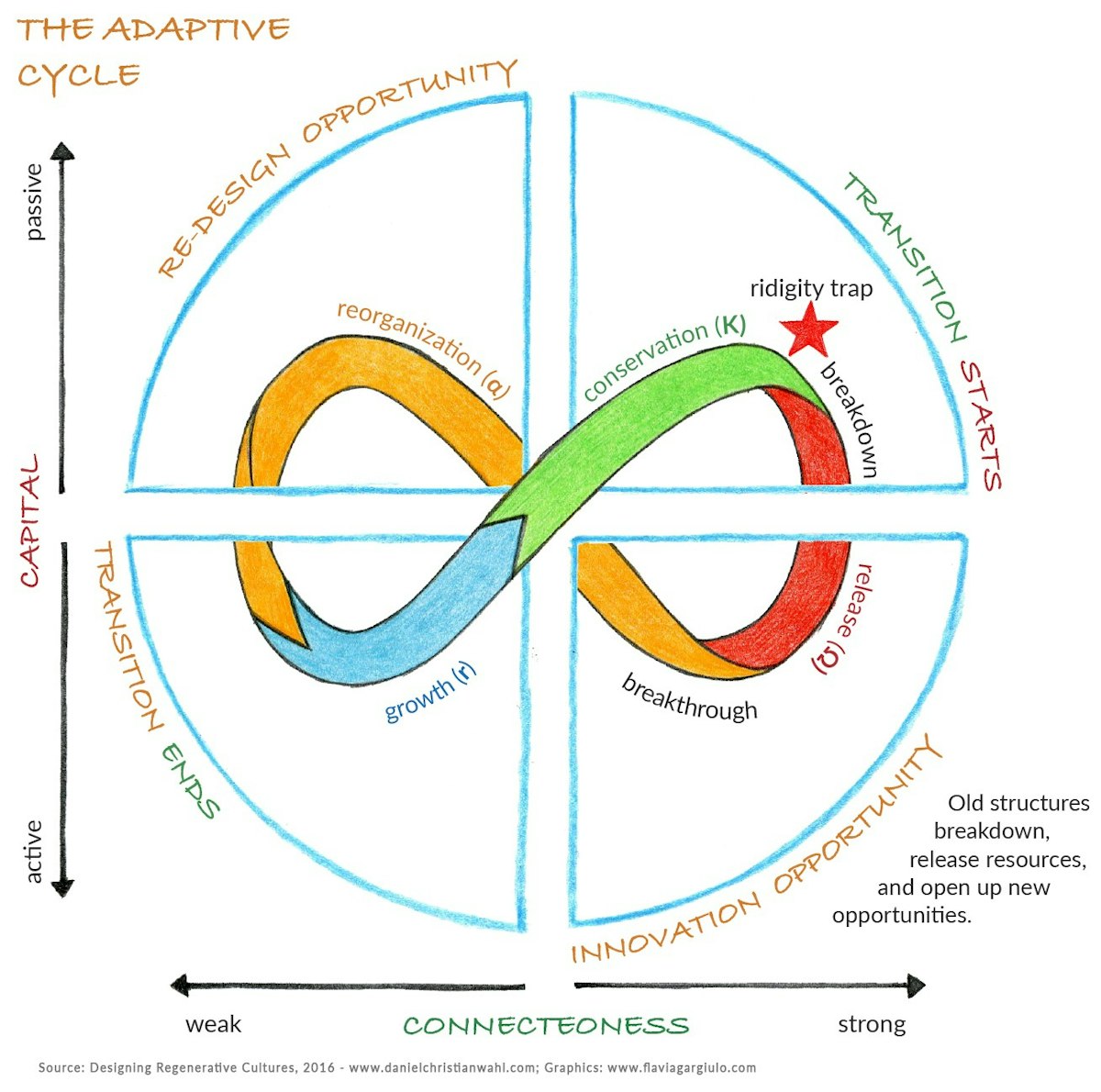 featured image - The adaptive cycle as a dynamic map for resilience thinking