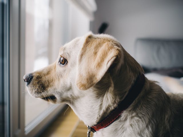 /beginner-bites-a-taste-of-elixir-a-beautiful-concise-and-productive-language-82e03f69b92e feature image