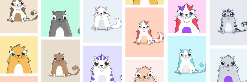 /building-a-bridge-between-blockchain-and-consumers-with-cats-104ac6655563 feature image