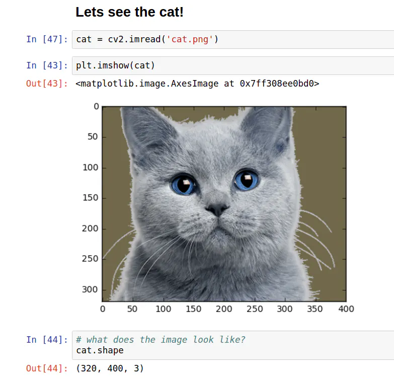 Visualizing parts of Convolutional Neural Networks using Keras and Cats ...