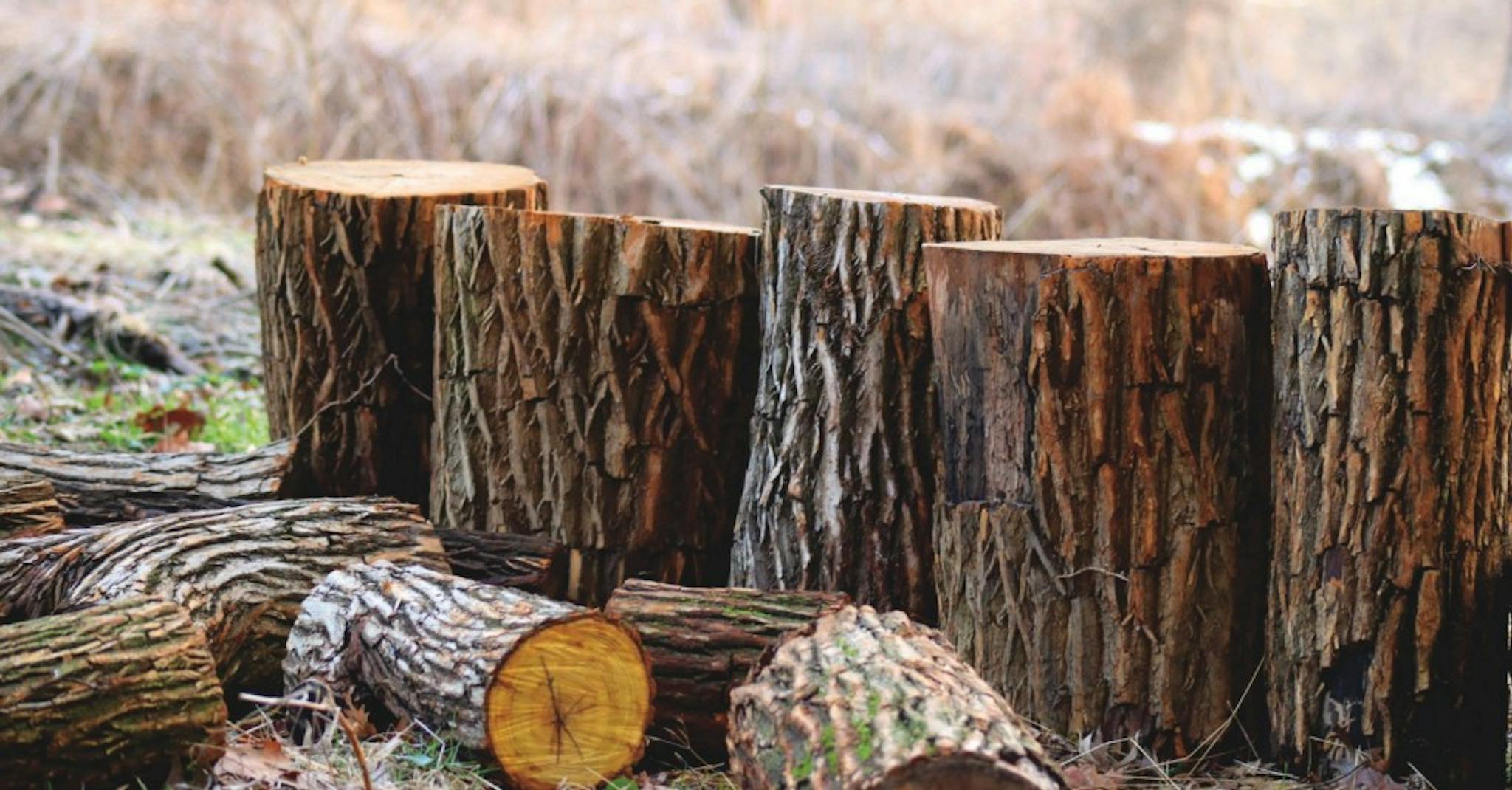 featured image - The Definitive Crash Course on Serverless with AWS: Centralized logging with Kinesis and Lambda