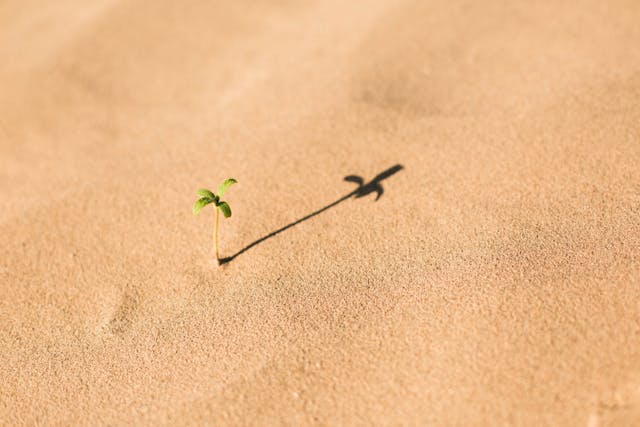 /3-things-i-wish-i-knew-when-i-started-as-technical-co-founder-5a3e68c3d7e9 feature image