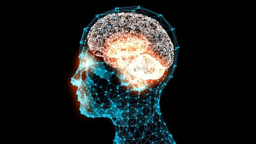 /artificial-biology-d8fd977f245e feature image