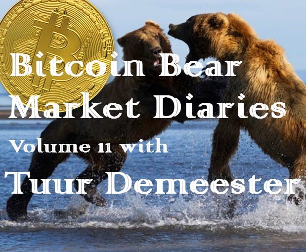 featured image - Bitcoin Bear Market Diaries Volume 11 Tuur Demeester