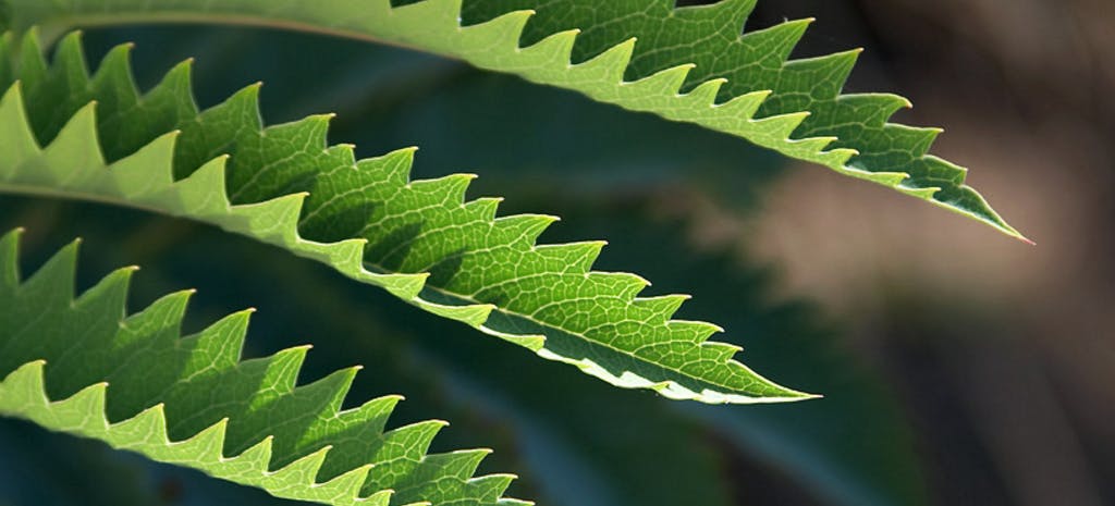 /smoothen-jagged-edges-of-rotated-image-view-1e56f6d8b5e9 feature image