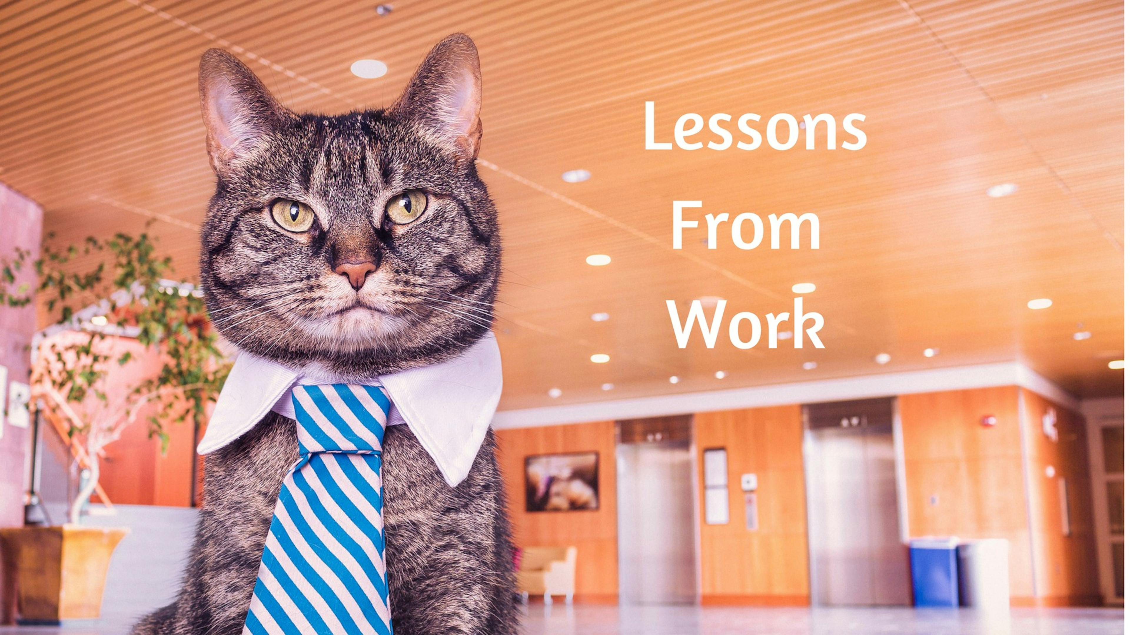 featured image - 3 things I’ve learned while working in a startup