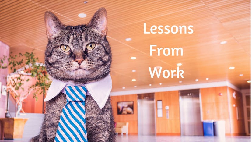 /3-things-ive-learned-by-working-in-a-startup-5ffacd492520 feature image