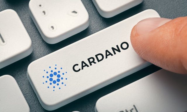 /cardano-foundation-chairman-resigns-following-community-effort-50453efd3d3c feature image