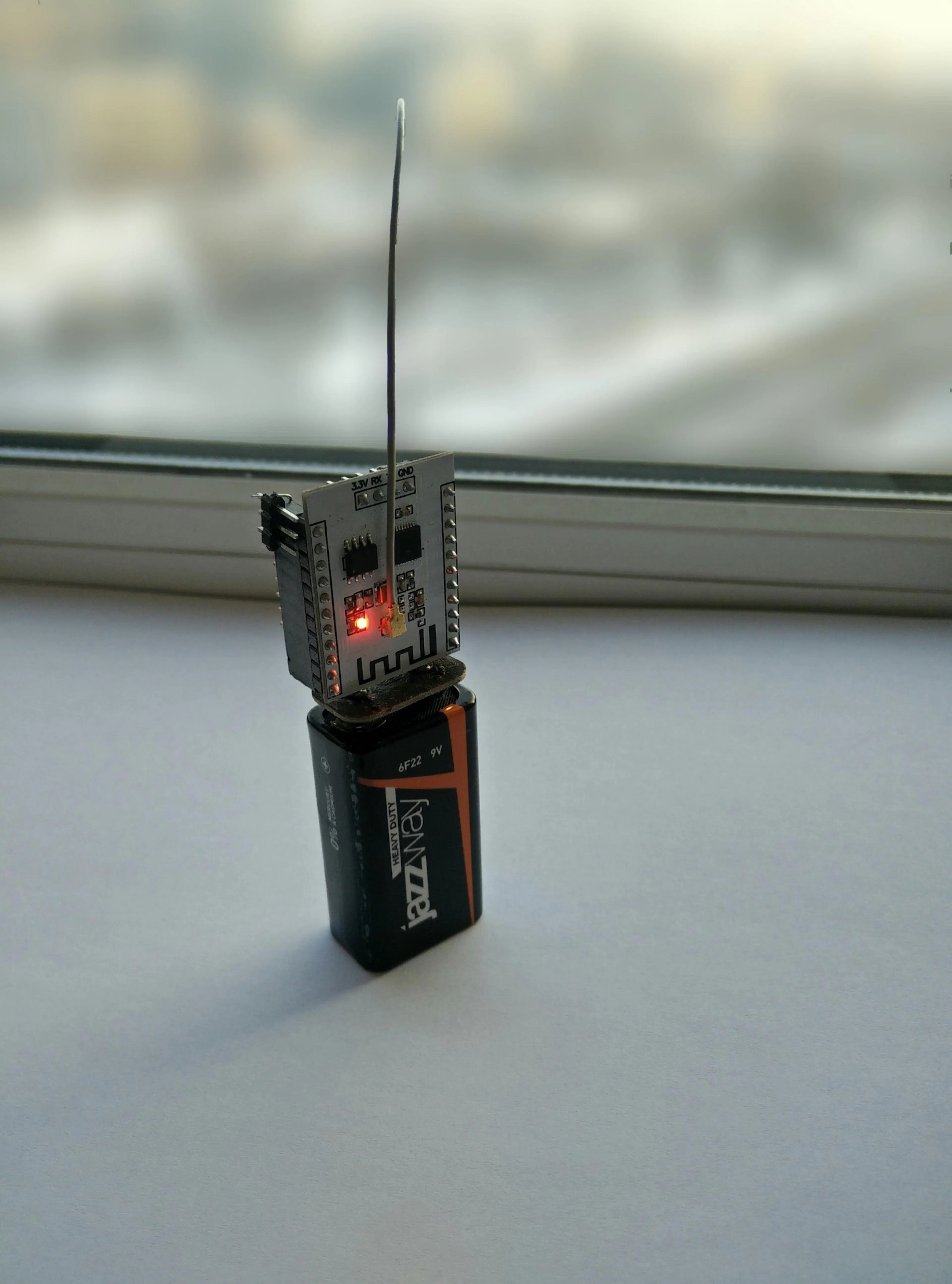 Tomas C.'s image-49d6d