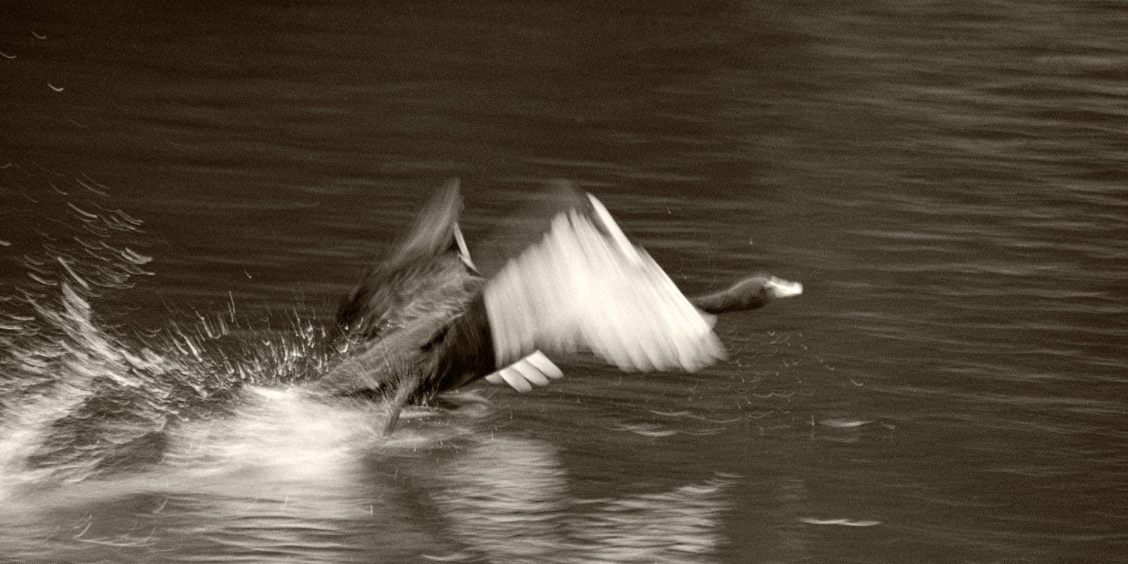 /no-complaints-policy-b5a537b86aec feature image