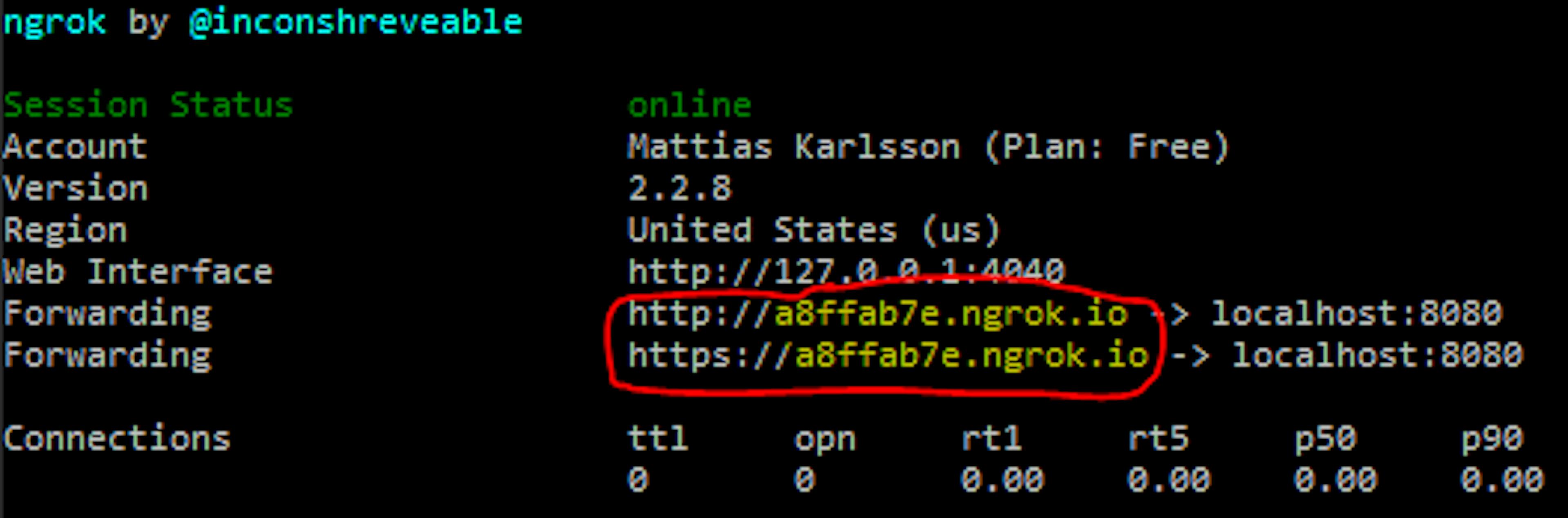 Using ngrok with Azure Functions⚡