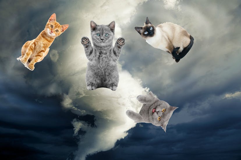 /django-too-big-flask-too-small-tornado-just-right-d5d002586bbc feature image