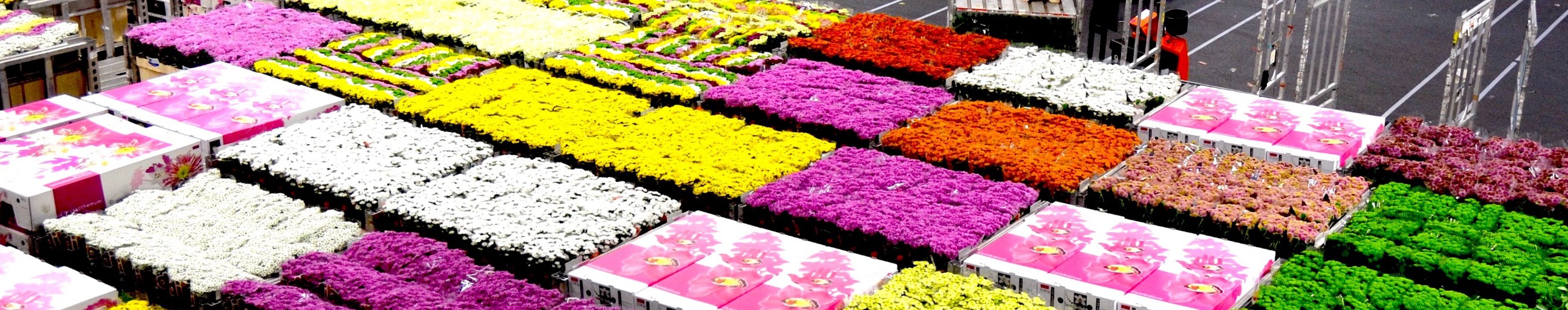 /understanding-the-problem-javascript-maths-2119d85dad2a feature image