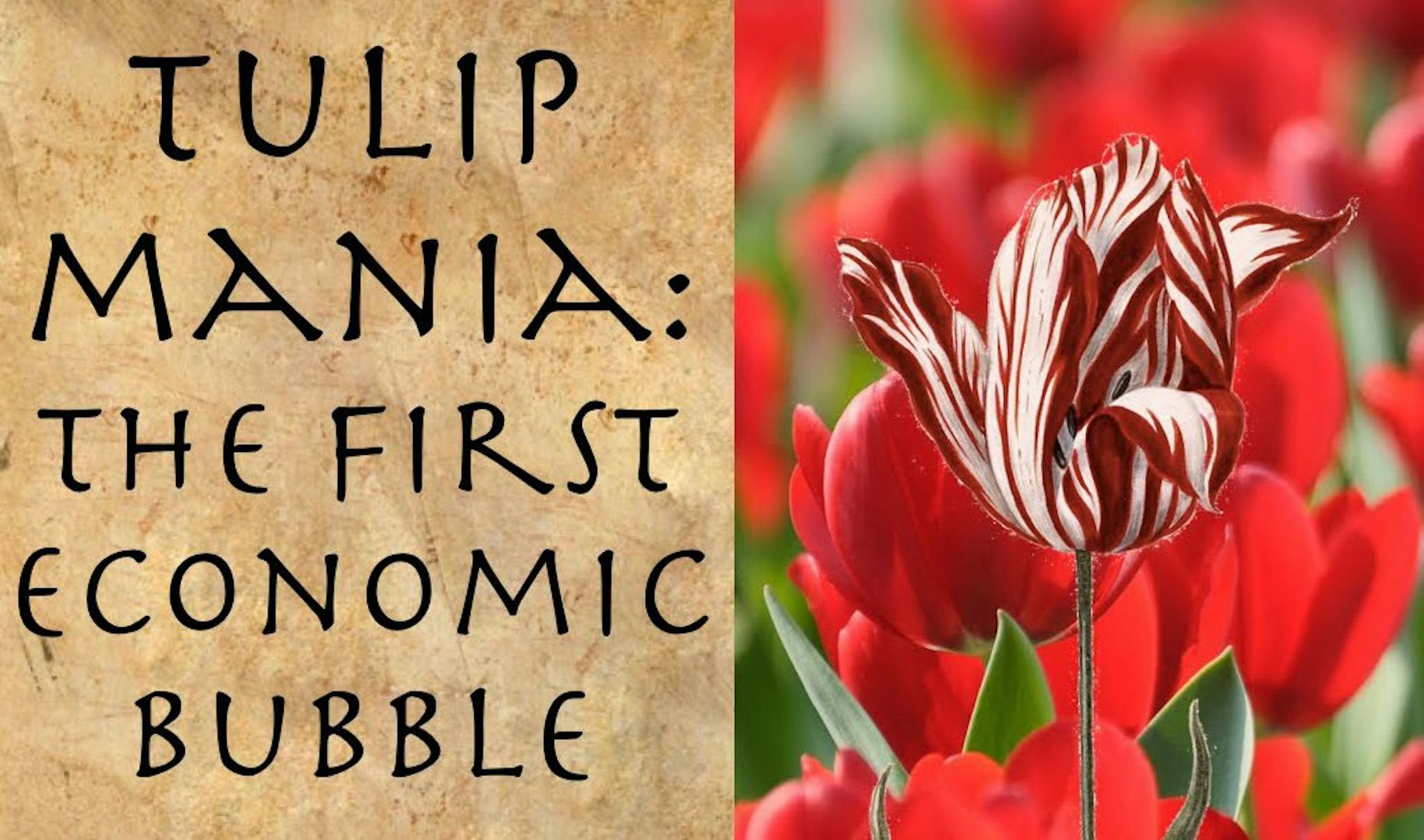 featured image - Why Crypto is HUGELY Overrated, and Underrated