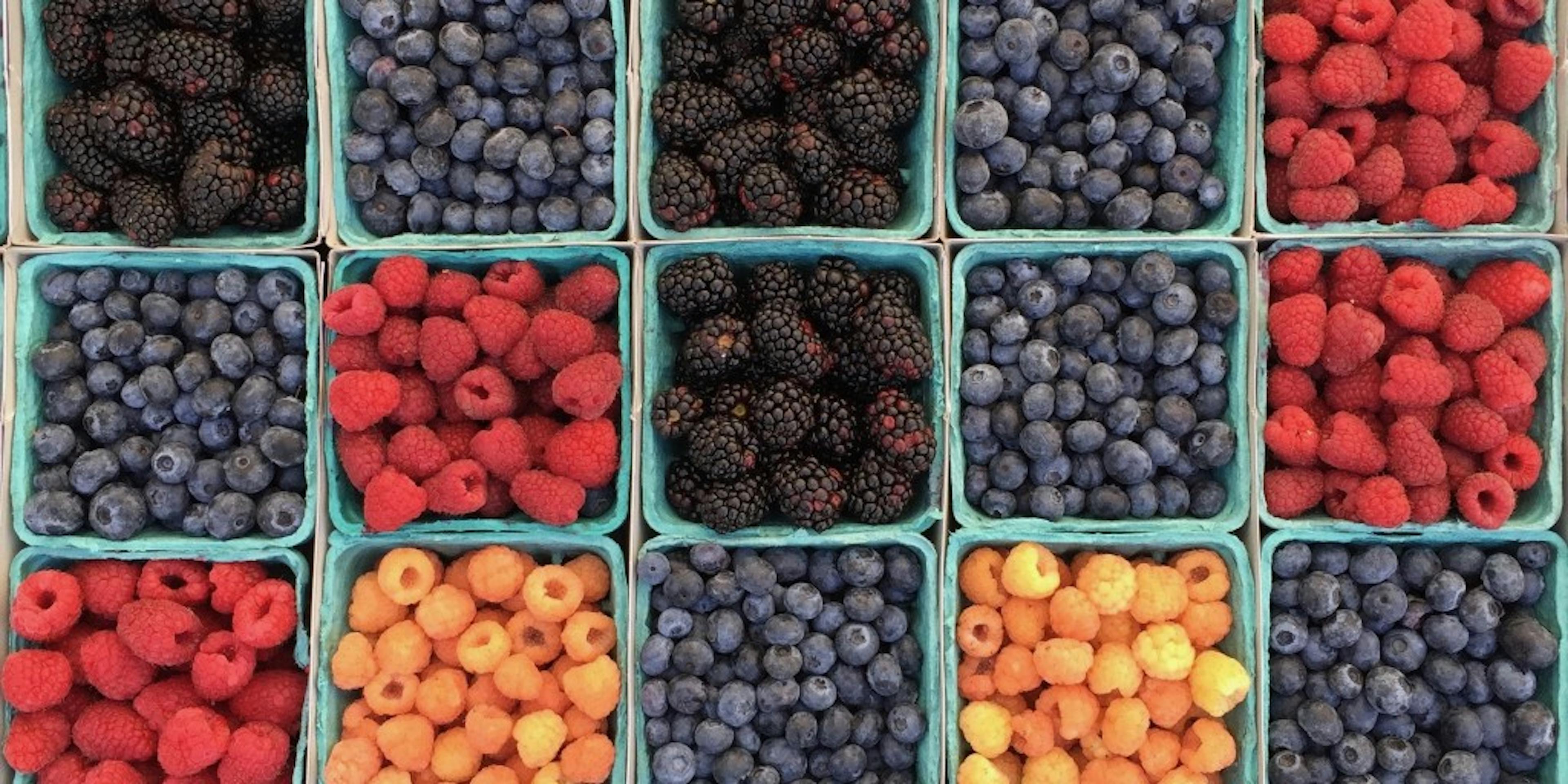 /towards-a-company-skills-matrix-408ca62fd8dd feature image