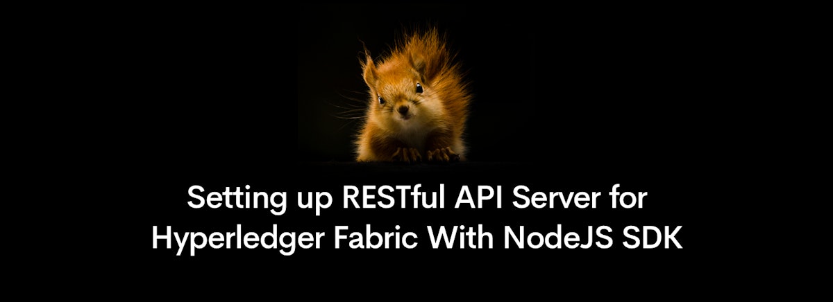 featured image - Setting up RESTful API Server for Hyperledger Fabric With NodeJS SDK