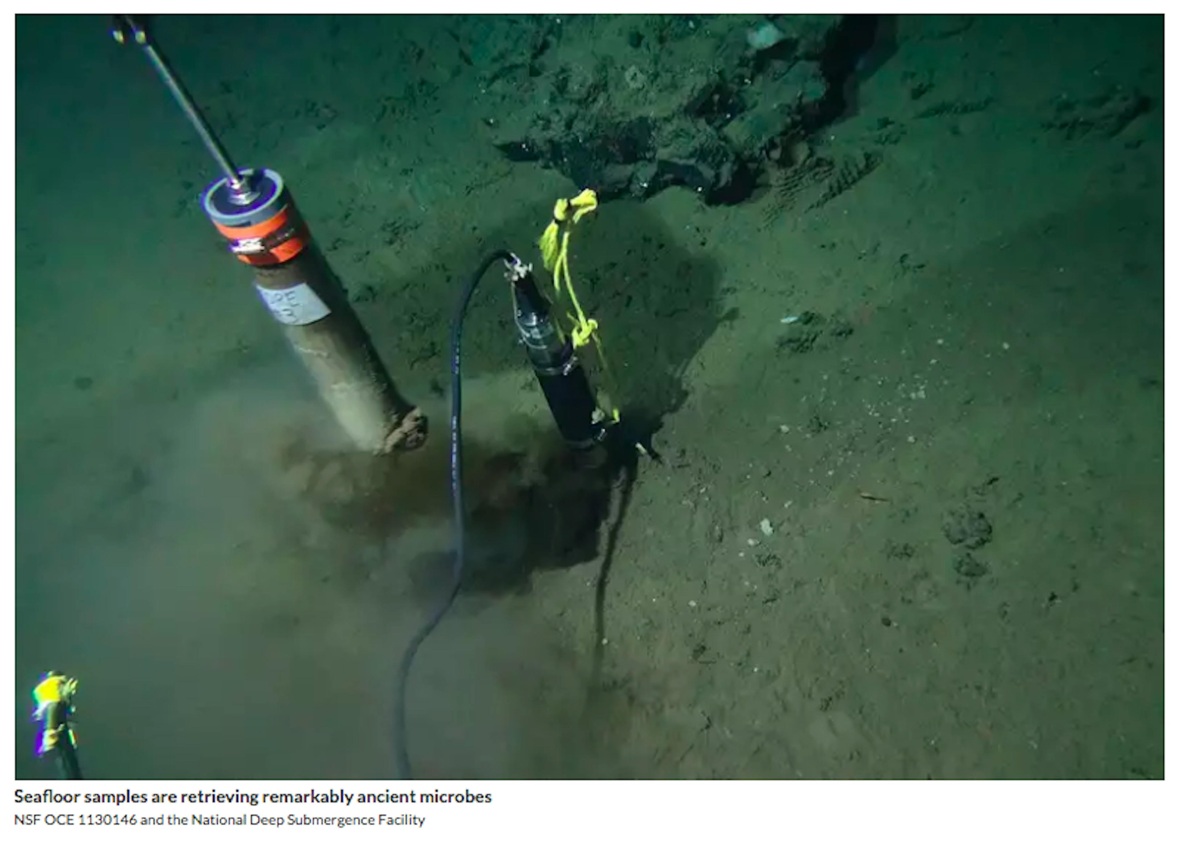 /2-cool-things-this-week-587ce03266c2 feature image