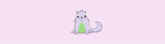 /how-i-spent-one-week-giving-birth-to-pregnant-crypto-kitties-e824e9c2a4ef feature image