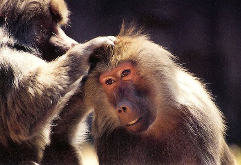 /testing-is-bureaucracy-4882ca243f5 feature image