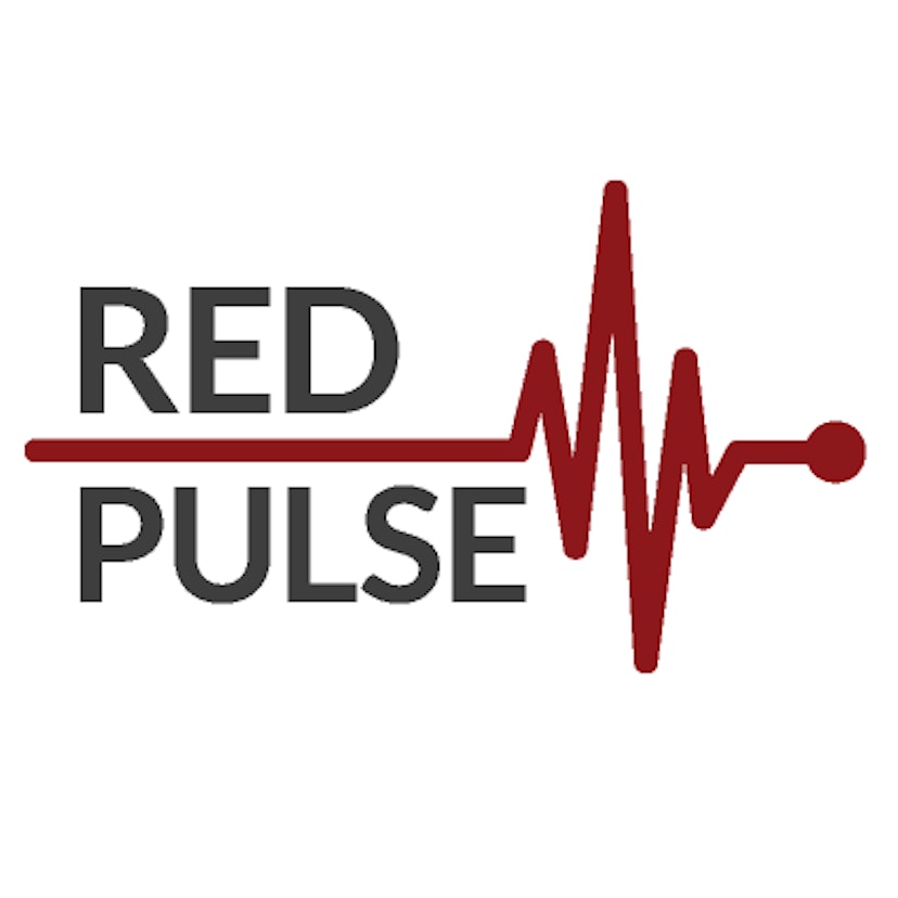 featured image - Roller Coaster of Red Pulse ICO