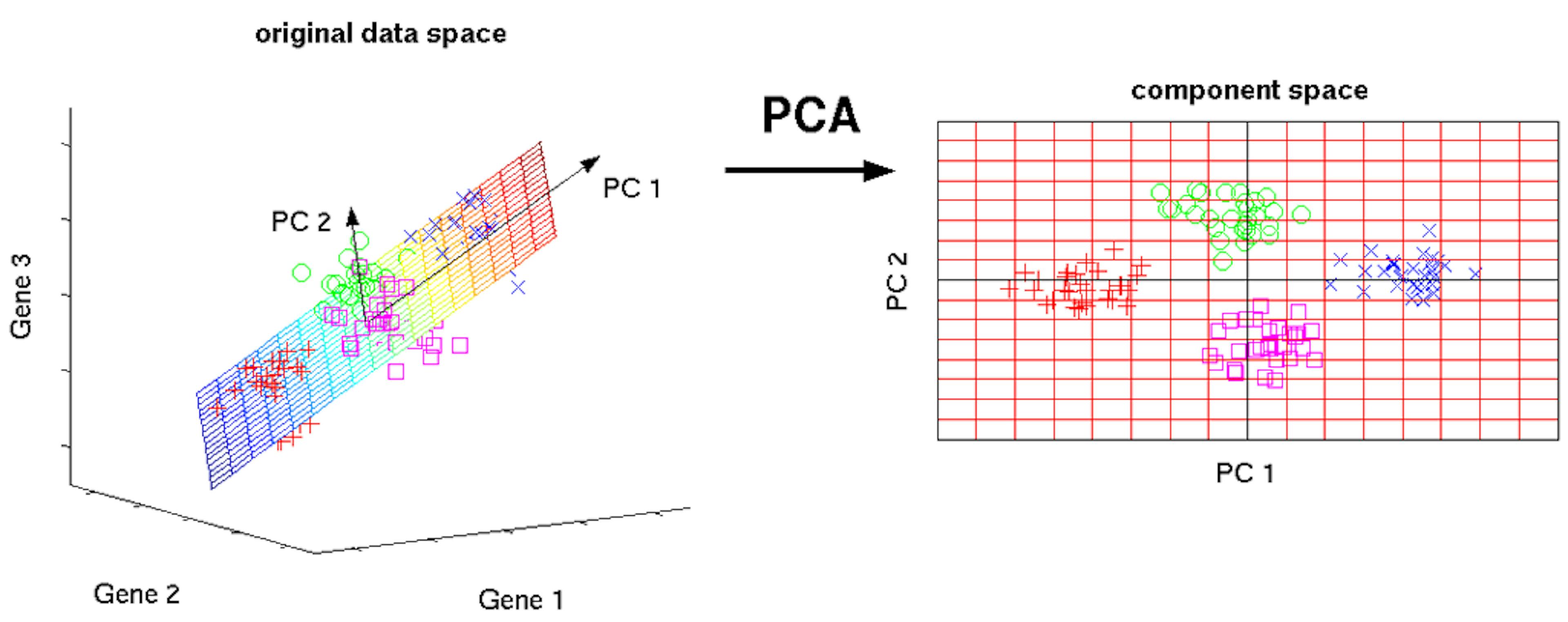 A Layman’s Introduction to Principal Components