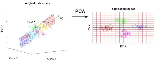 /a-laymans-introduction-to-principal-components-2fca55c19fa0 feature image