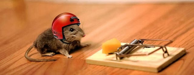 /pointless-programming-problems-59427ea6f8b6 feature image