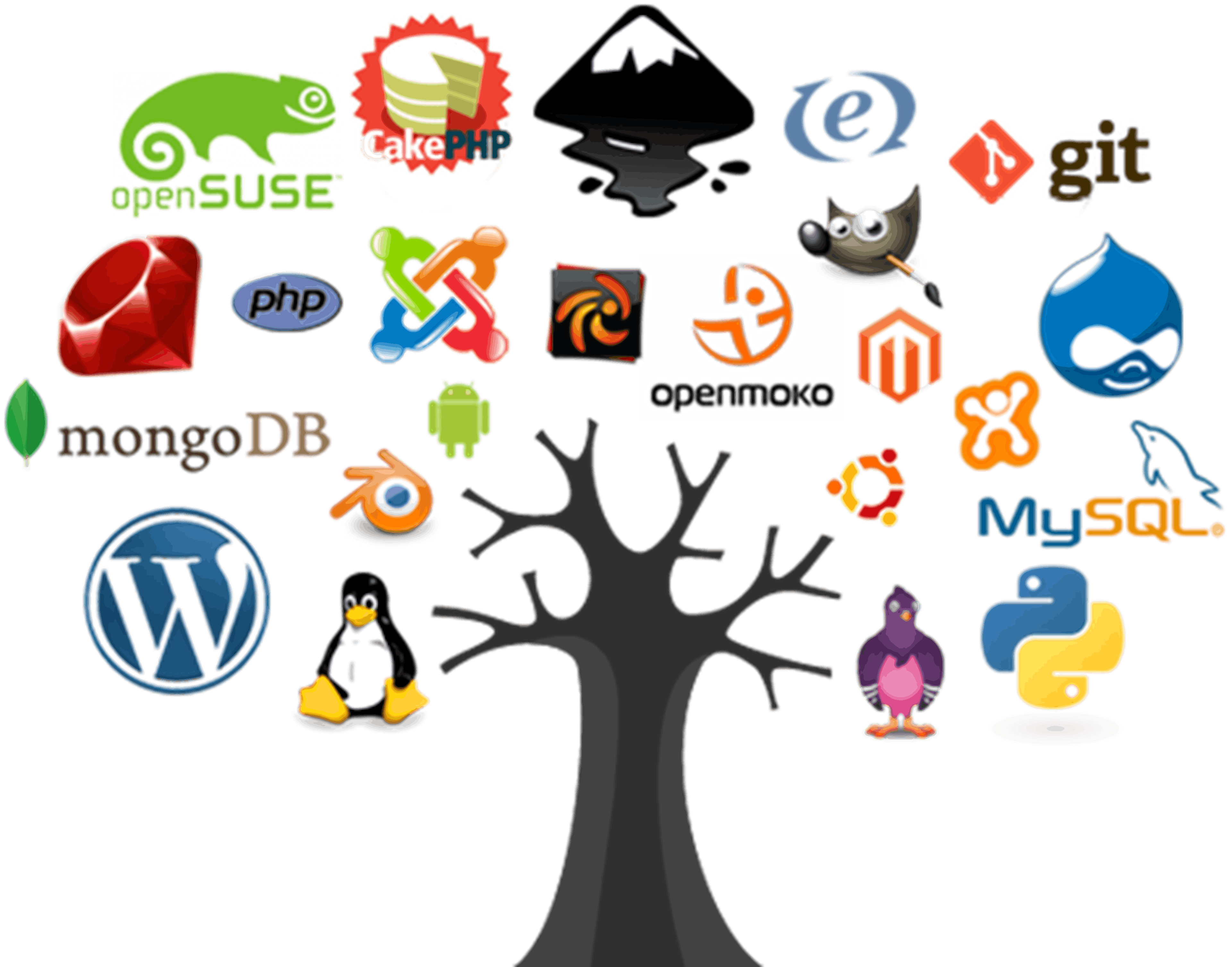 Lessons for creating good open source software