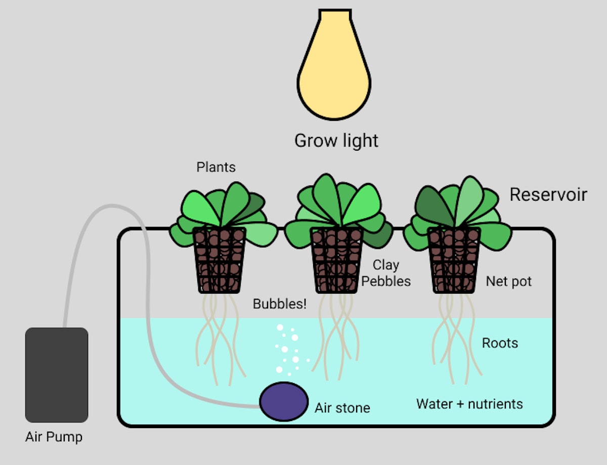 featured image - The $300 Lettuce: Building a Smart Garden