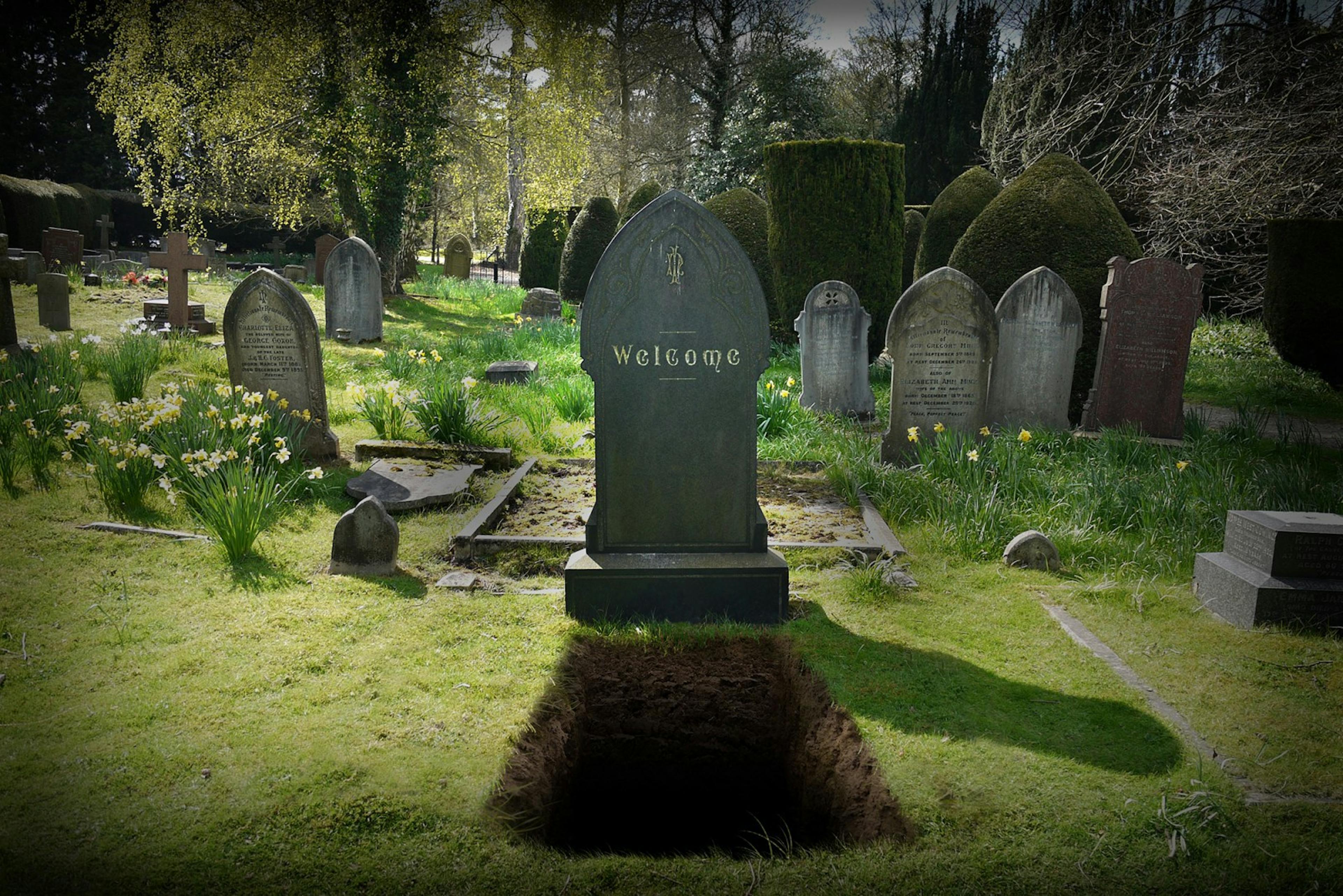 featured image - RIP WordPress, GoDaddy. BUILD and HOST a WEBSITE IN 30 SEC with IpfsCloud.