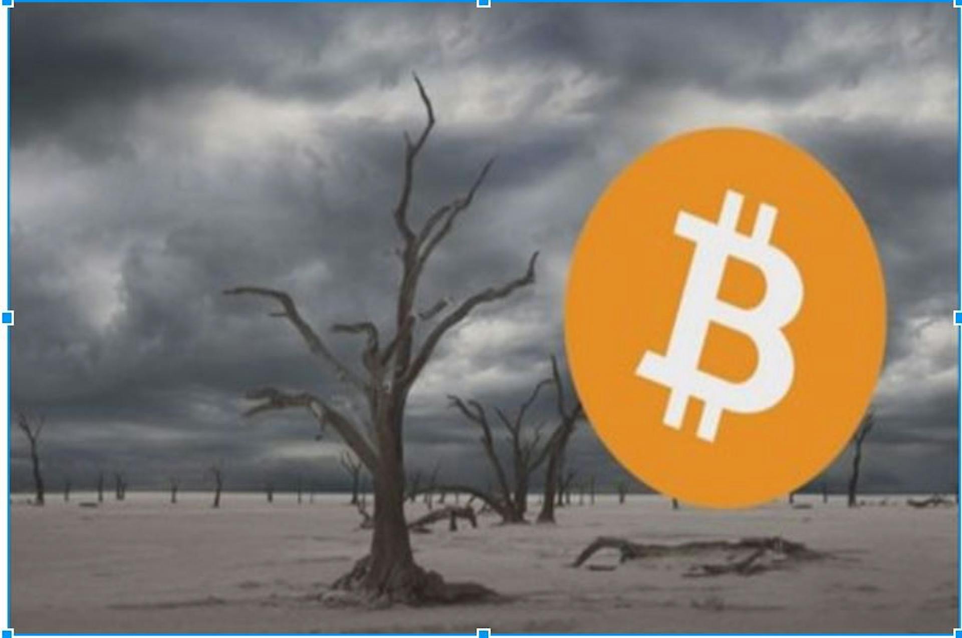 featured image - How to survive and get profit during the crypto apocalypse?