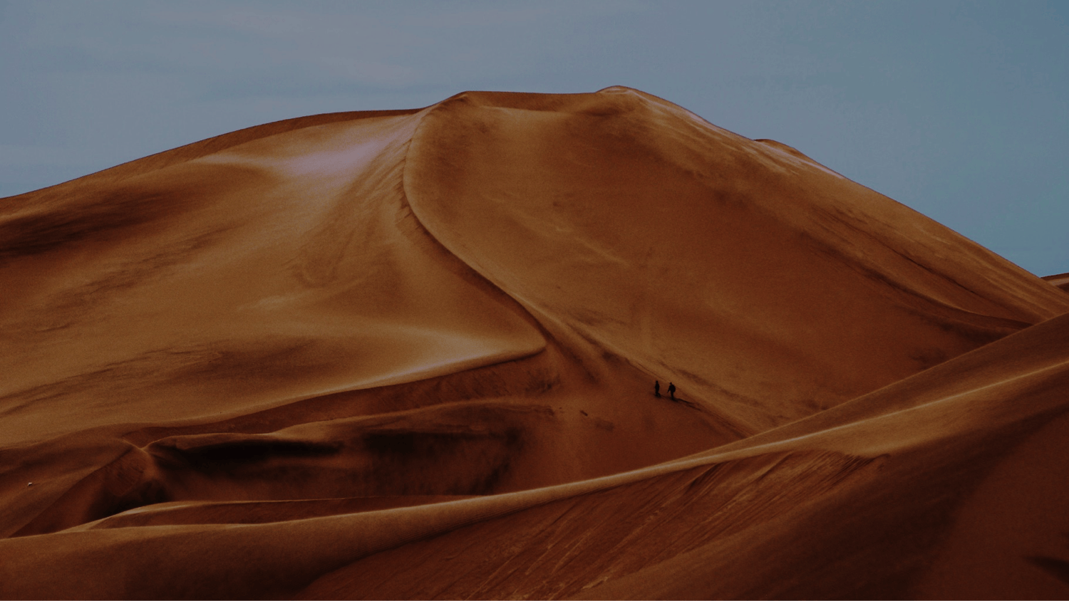 /how-highly-resilient-people-survive-to-thrive-bc78052a451 feature image