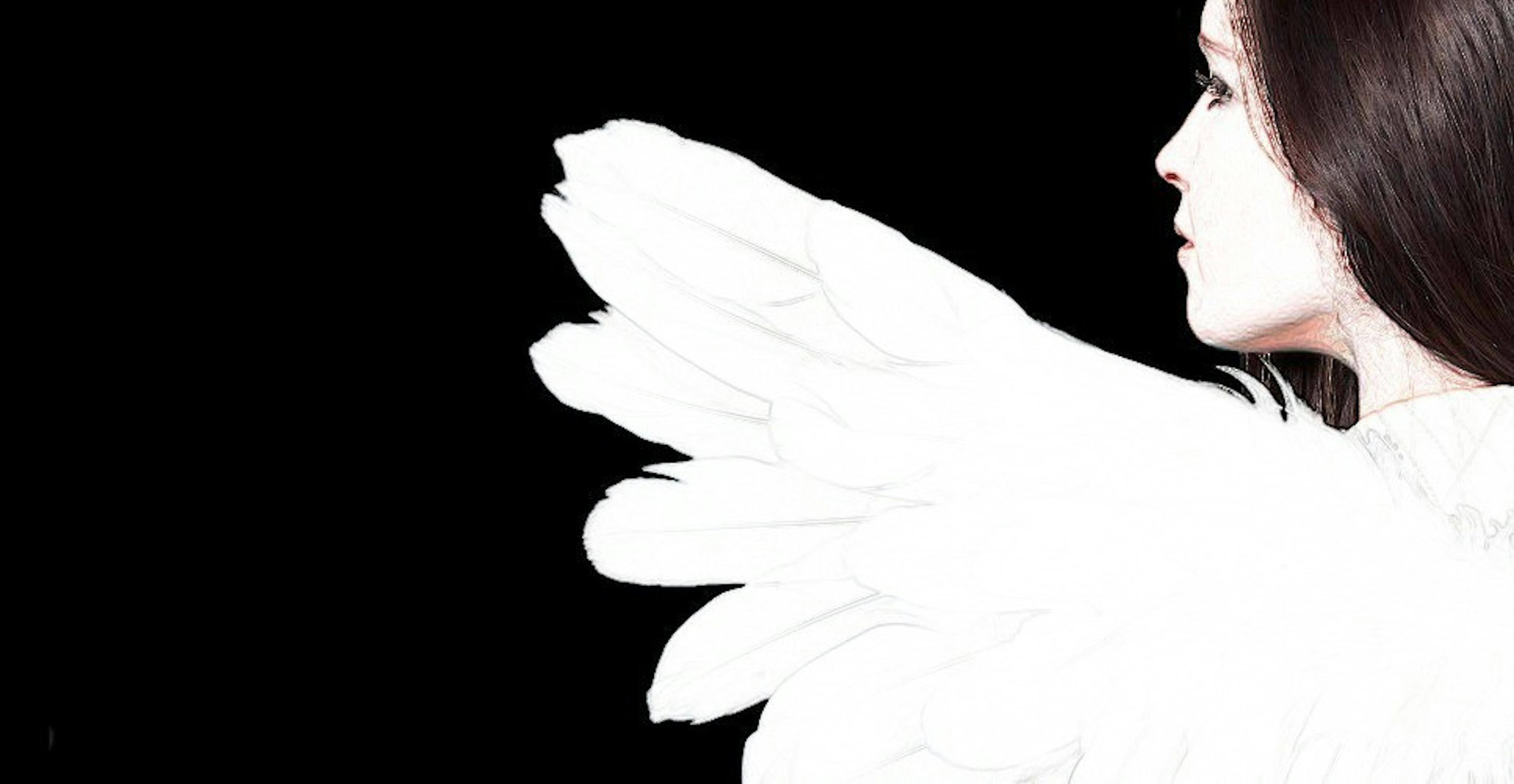 /the-future-of-investor-relationship-management-9323fabff649 feature image