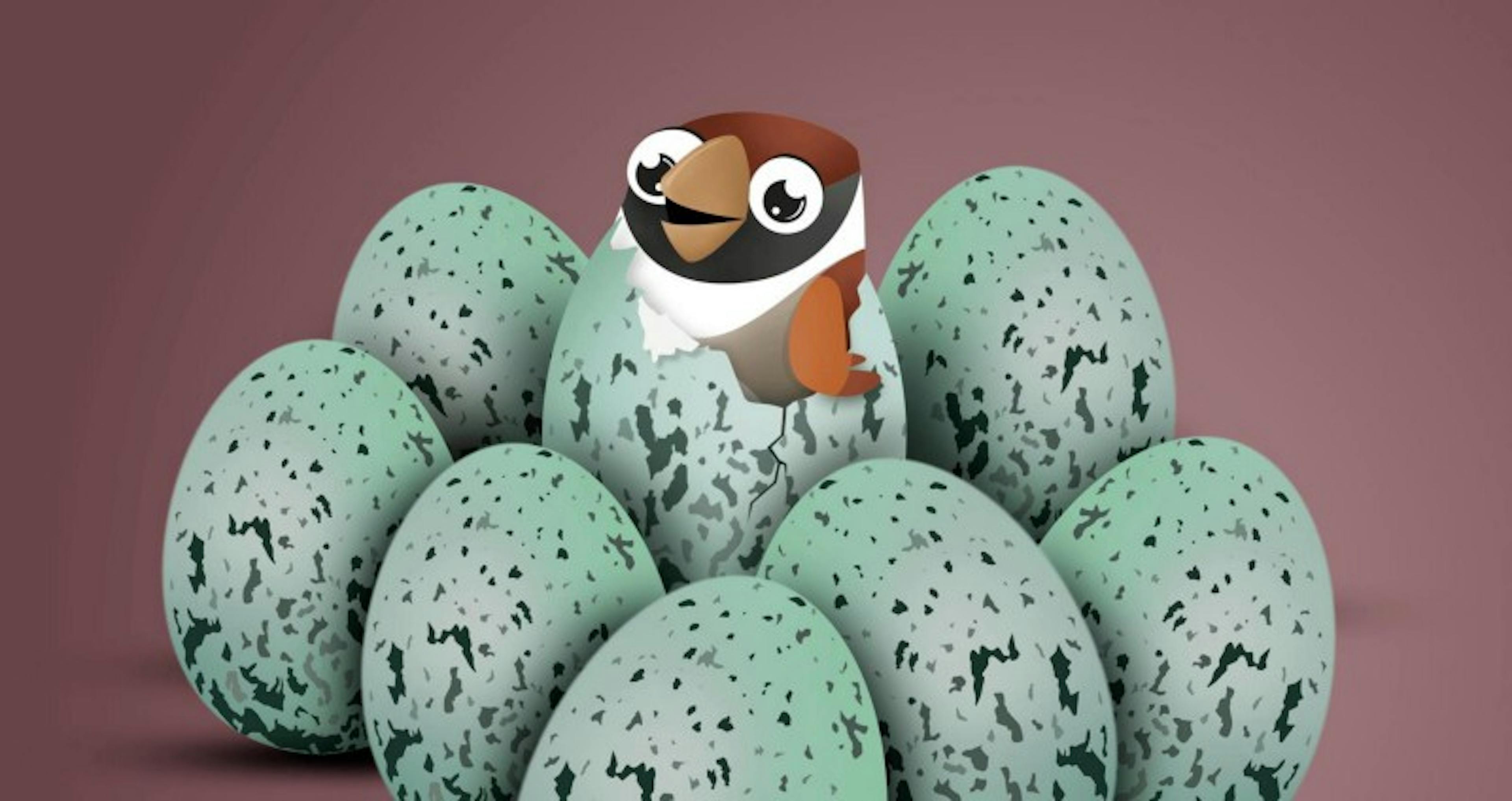 Our Startup Story: How SurveySparrow Hatched Out of its Shell