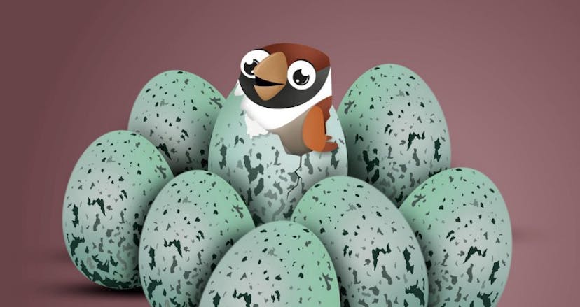 /our-startup-story-how-surveysparrow-hatched-out-of-its-shell-a074f2e7ece8 feature image