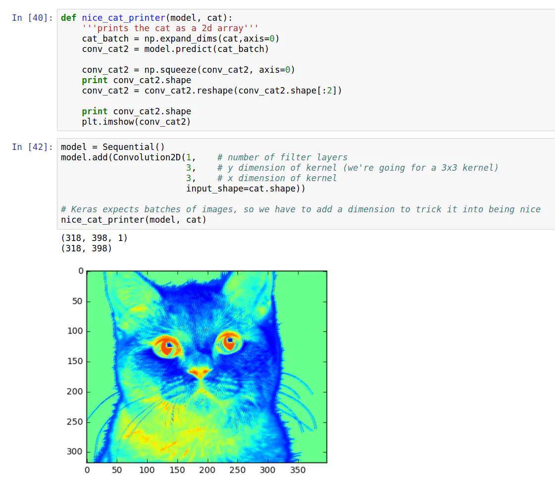 Cnn Cat Image Algorithm Visualizing parts of Convolutional Neural Networks using Keras and Cats ...