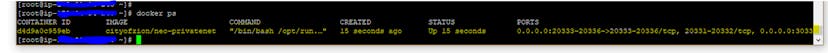 /building-your-private-neo-network-on-aws-part-2-4dc975744bf8 feature image