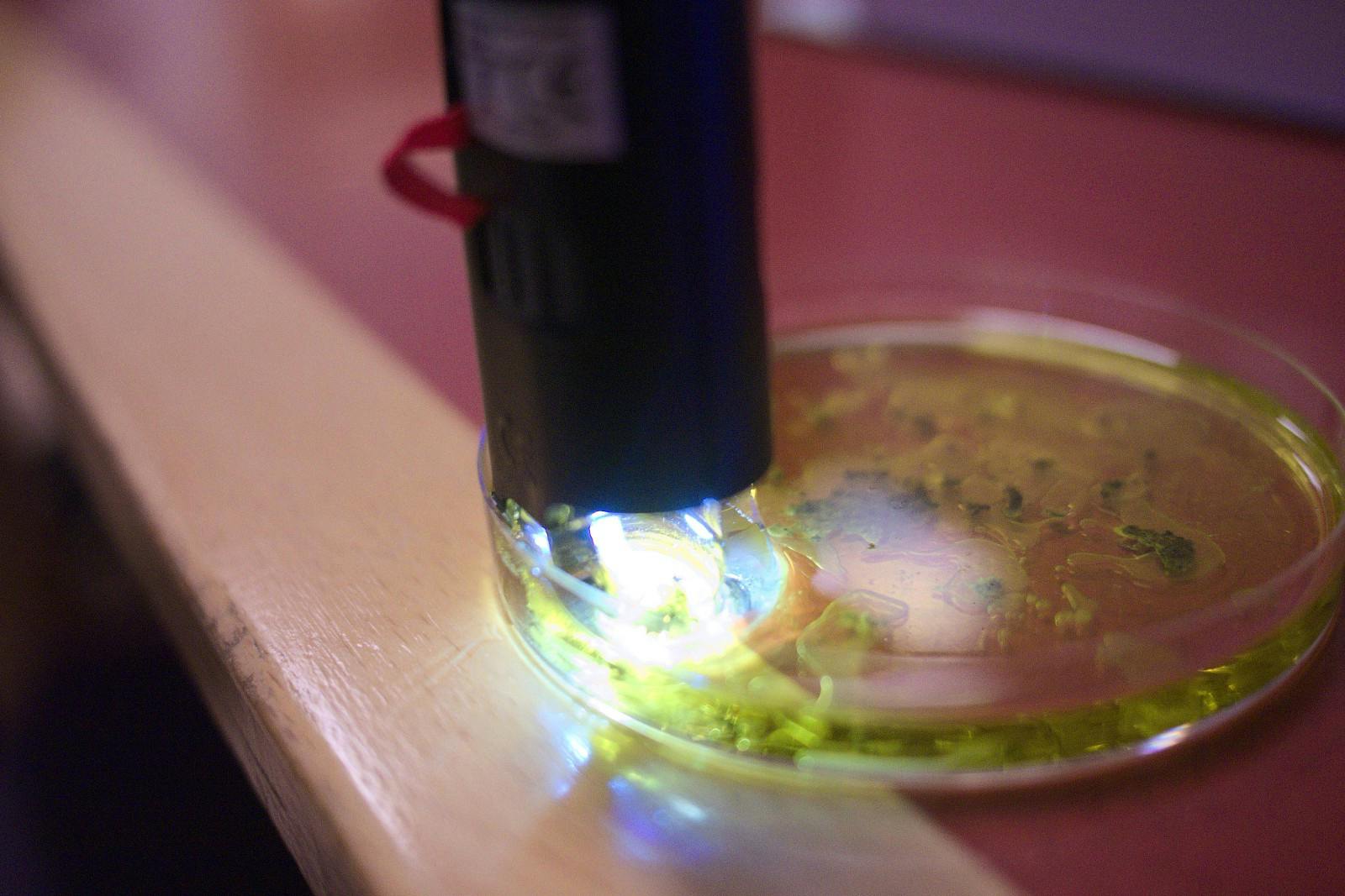 featured image - How Biohacking Can Help You Reach Higher Levels of Performance