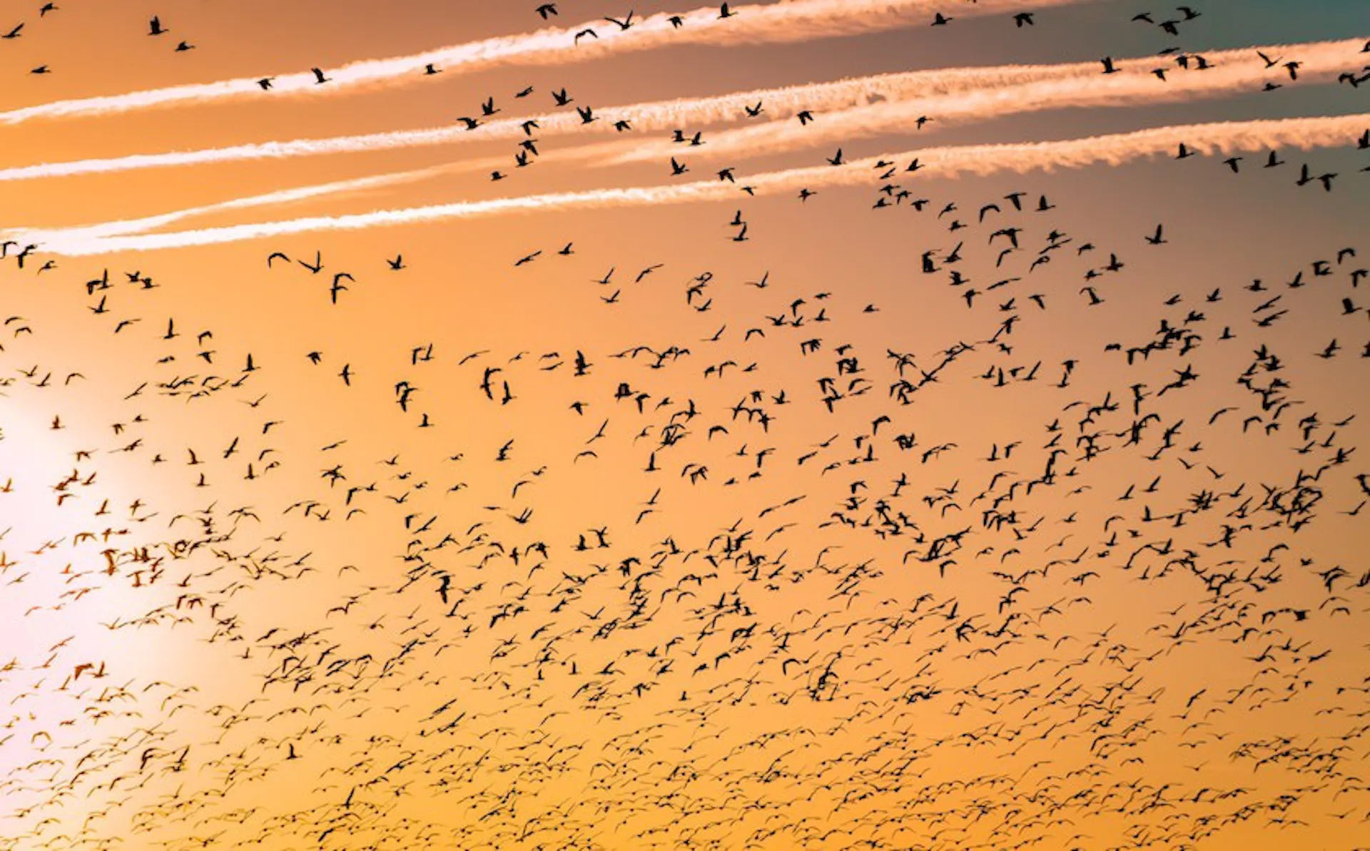 Why Migrate From WordPress To A Static Site Generator HackerNoon