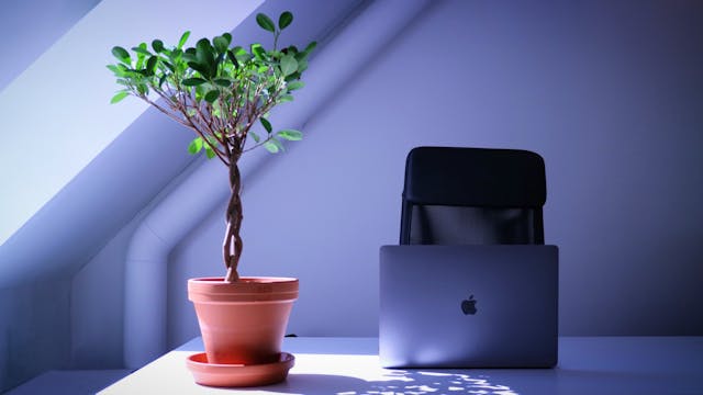 /learn-business-and-become-a-better-software-developer-6db96ef852b1 feature image
