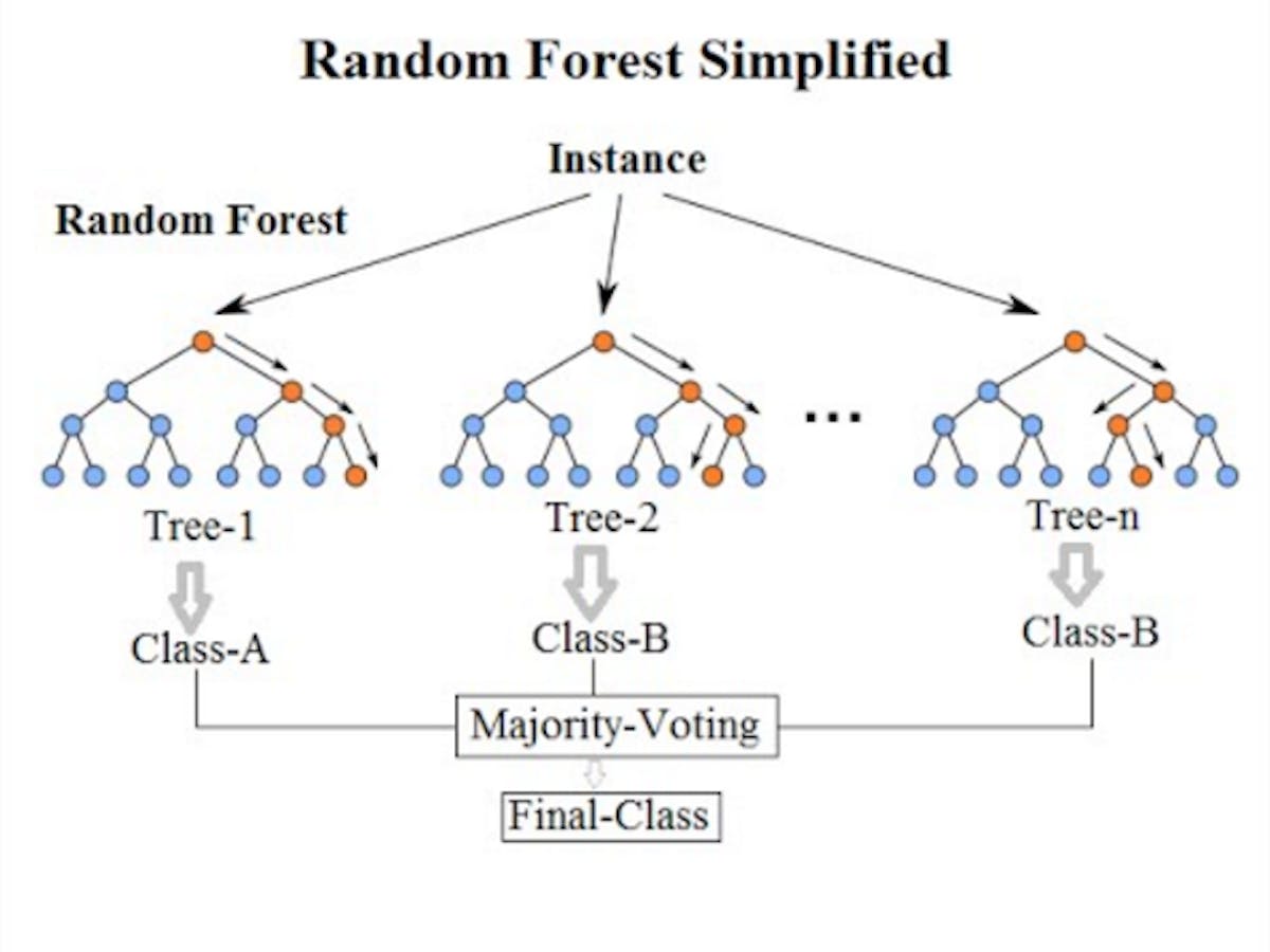 Image result for random forest