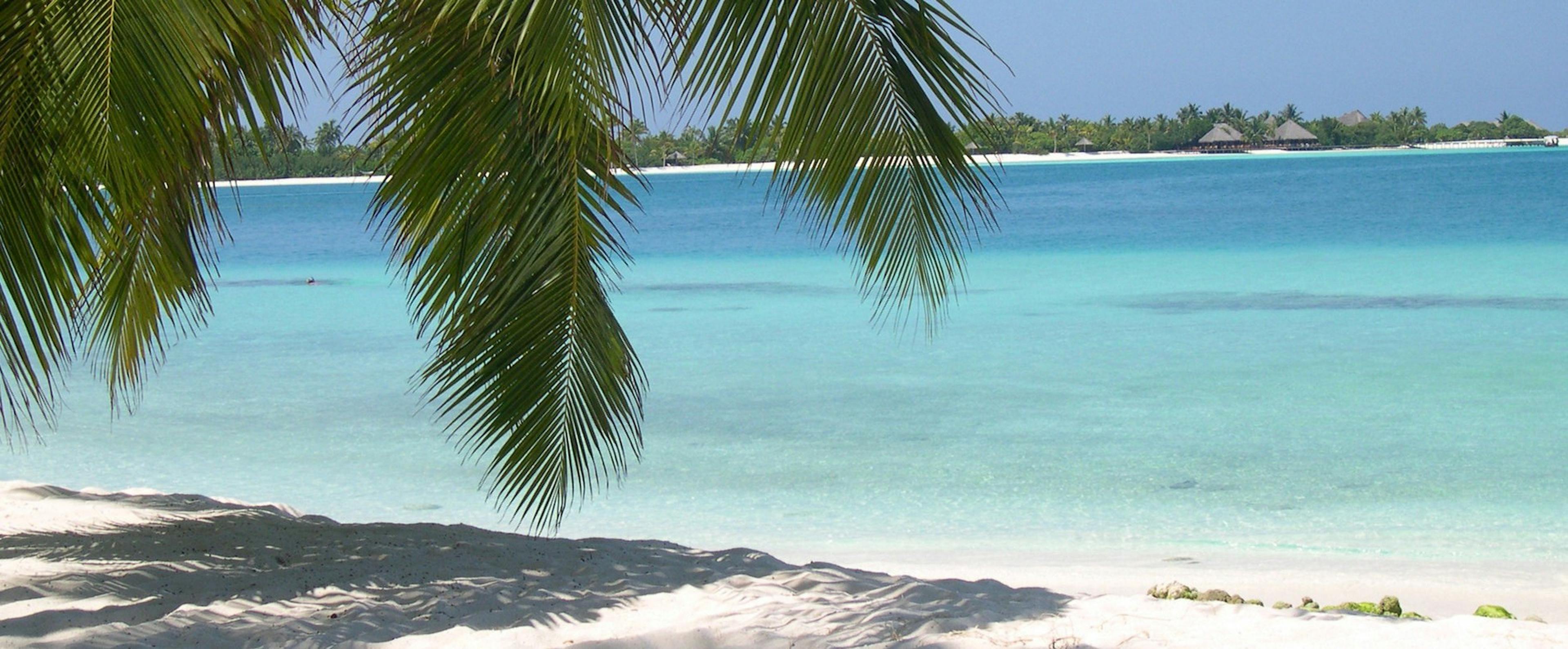 /lean-back-to-look-forward-589089e0ba75 feature image