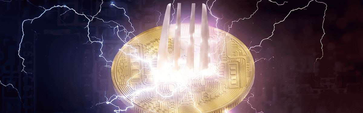 featured image - Fork Off: What the Bitcoin Cash Hard Fork Means for Crypto