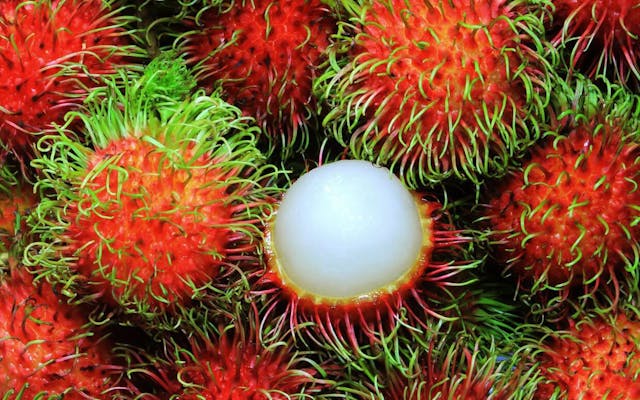/develop-course-and-training-materials-using-fruit-punnets-cf9cfa88040f feature image