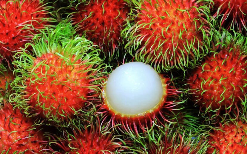 /develop-course-and-training-materials-using-fruit-punnets-cf9cfa88040f feature image