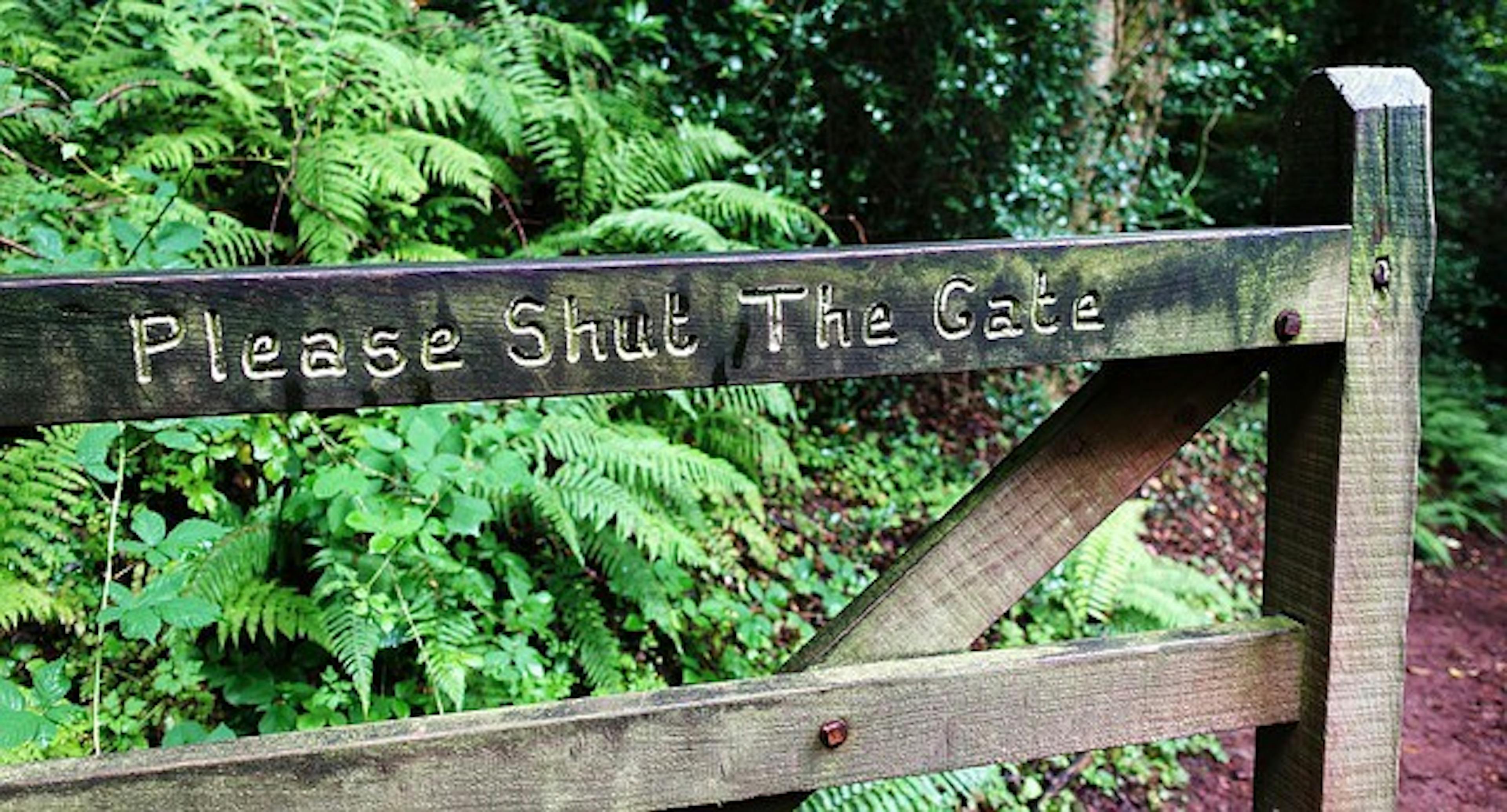 Forget What You Know About Password Security and Do This Instead