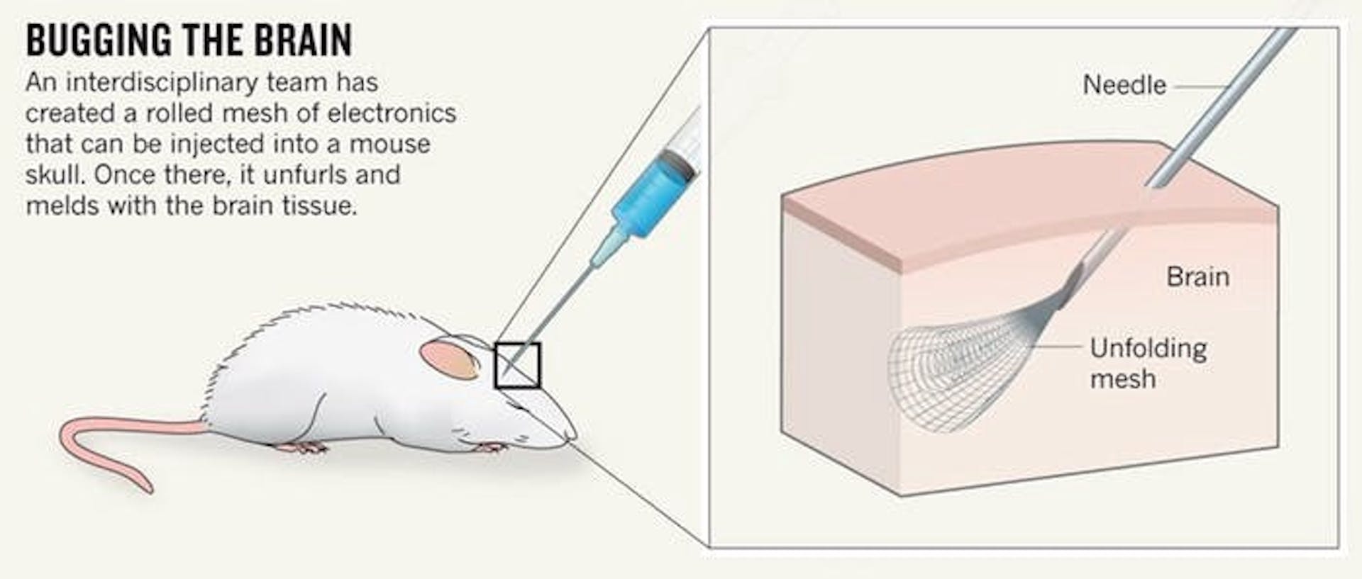 featured image - Neuralink is building the most privacy invasive technology of our time